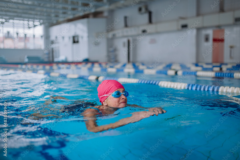 Active senior woman swimming in indoors swimming pool.