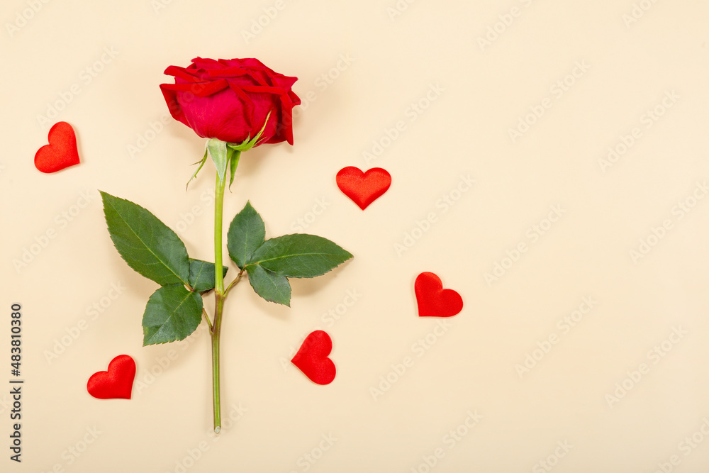 Red rose and red hearts on beige background, top view, free space for text. Greeting card for Valentines day Red rose and red hearts on beige background, top view, free space for text. Greeting card for Valentines day