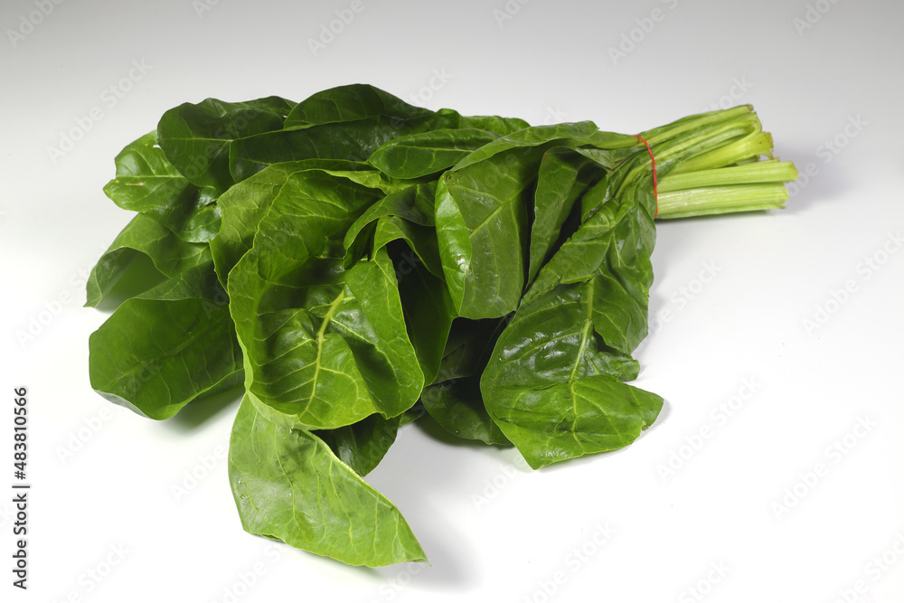 Bunch of fresh chard leaves on white background. Top view. Bunch of fresh chard leaves on white background. Top view.