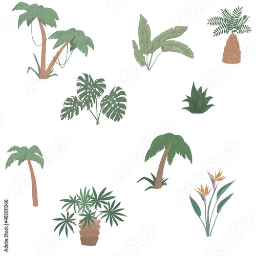Pattern of tropical paradise