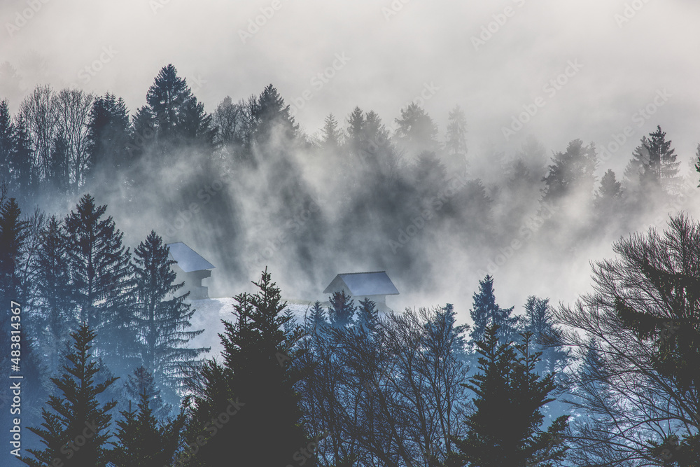 Nebelmeer mitten durch den Wald bei Goldiwil
