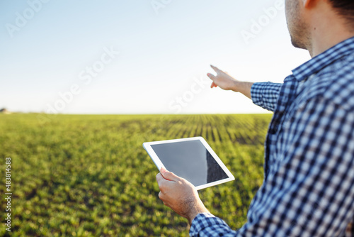 Close up shot of a farmer holding a tablet standing in the middle of the young green wheat field. Agromonist sends progress data from the field to examine and analysis the crop condition.