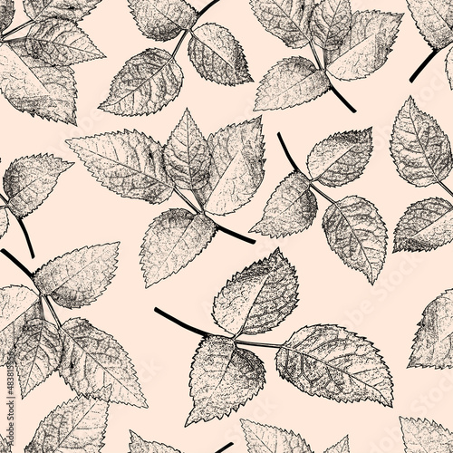 pattern executed pencil with rose leaves, an elegant, light work. suitable for bedding, textiles, fabric, curtains, wallpapers, basins, linen, etc.