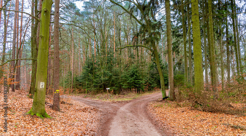 Fototapeta premium Polska