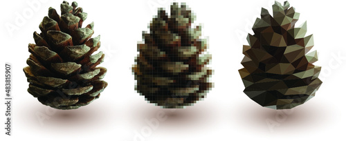 Vector background pine cones on a white background 