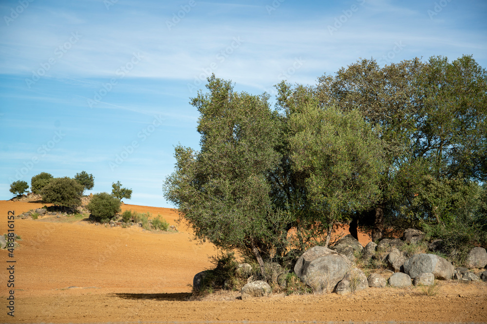 Fototapeta premium PORTUGAL ALENTEJO REGUENGOS