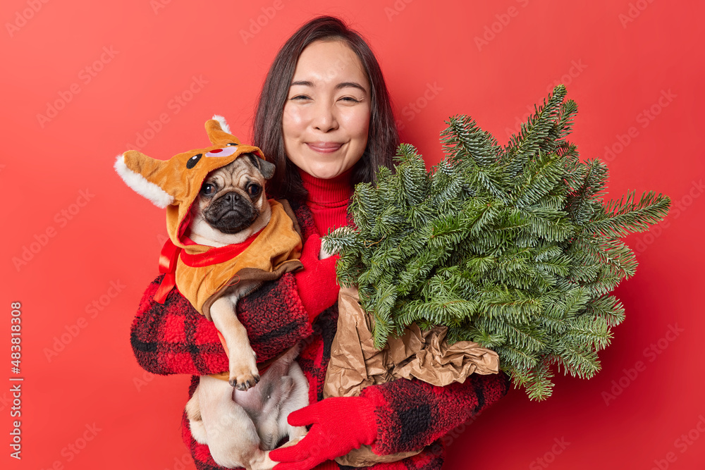 Φωτογραφία Positive Asian woman poses with favorite pet and spruce branches dressed in winter clothes smiles gladfully expresses love to pug dog isolated over red background