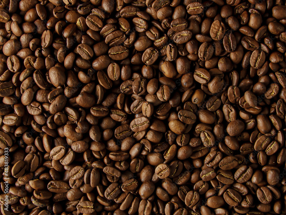 Roasted coffee beans background. Cuban coffee of the highest quality. Arabica