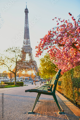 Fototapeta Naklejka Na Ścianę i Meble -  Scenic view of the Eiffel tower with cherry blossom trees in bloom in Paris, France