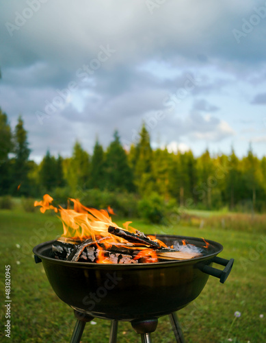 Cuadro en lienzo Summer barbecue on the grill in Finland