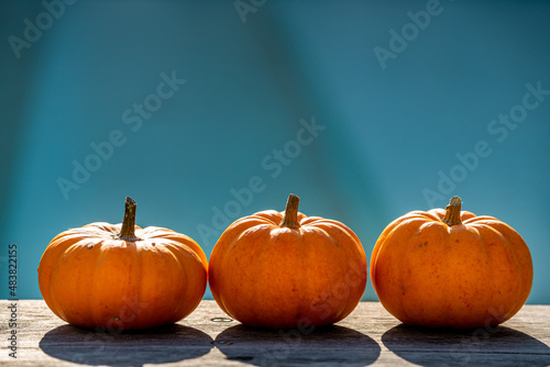 three little pumpkins on a wooden table with beautiful blurred blue background