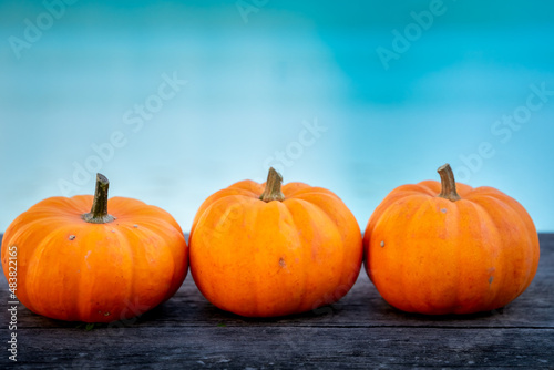 three little pumpkins on a wooden table with beautiful blurred blue background