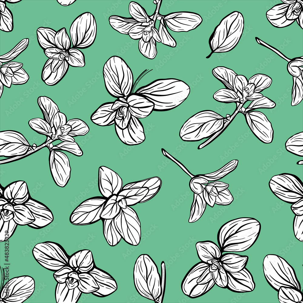seamless pattern of basil leaves. Italian herbs.A sprig of marjoram. Basil is a fragrant and fragrant seasoning. Hand-drawn illustration seamless pattern of basil leaves. Italian herbs.A sprig of marjoram. Basil is a fragrant and fragrant seasoning. Hand-drawn illustration