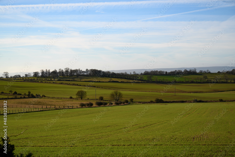 Landscape with fields and blue sky