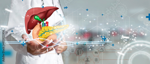 Doctor holding hologram of human liver system as a concept of health and well-being. Medical future technology and innovative concept. Mixed Media