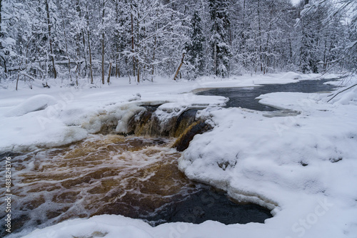 Landscape photo of non-freezing running river with fast current and rapids on its way flowing between ice-covered white banks against backdrop of snowy forest in distance on gloomy cold winter day