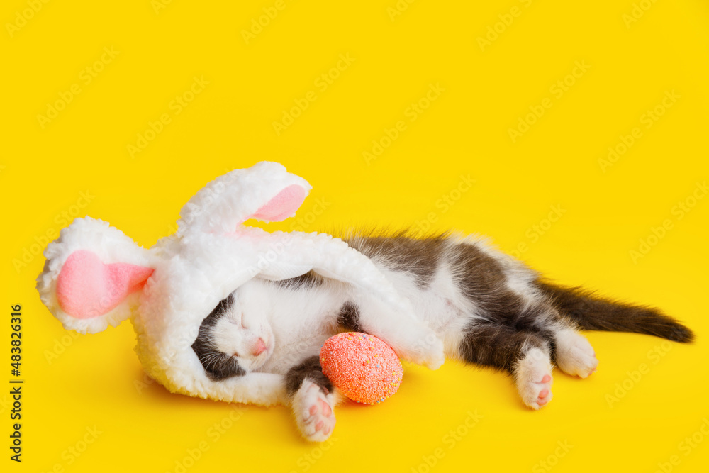 Fototapeta premium Little cute kitten sleeping Pretending to be Easter bunny. Cat pet wearing rabbit hat with pink bunny ears Hugs Easter pink egg while sleeping isolated on yellow color background. Happy Easter concept