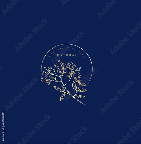 Minimal feminine floral monogram and logo. Hand drawn wedding herb, elegant leaves. Botanical rustic trendy greenery vector