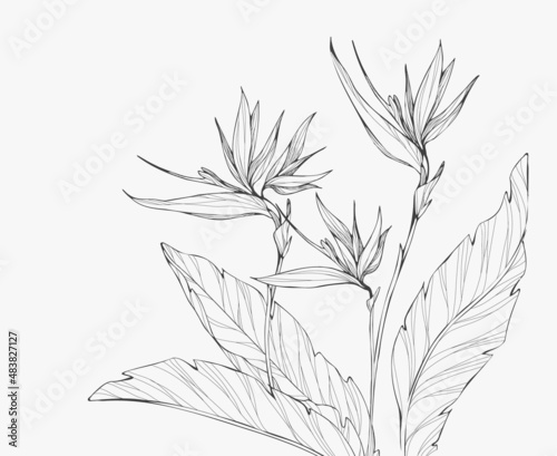 Trendy wedding flowers for logo or decorations. Hand drawn line wedding decoraton, elegant leaves for invitation save the date card. Botanical rustic trendy greenery