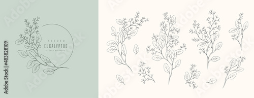 Foto Seeded eucalyptus logo and floral branch