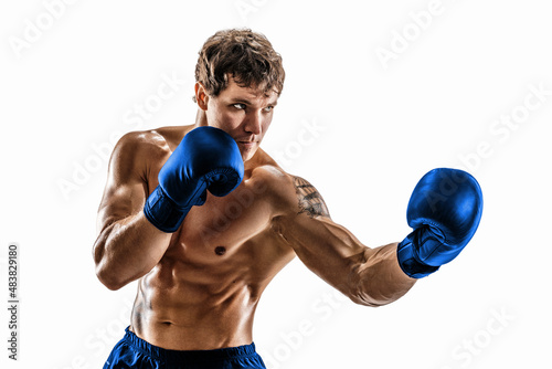 Portrait of muscular boxer who training and practicing uppercut in blue gloves on white background. © zamuruev
