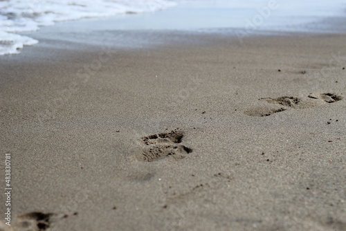 beach footprints