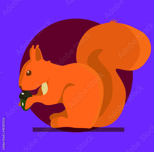 Red squirrel sits and eats a nut