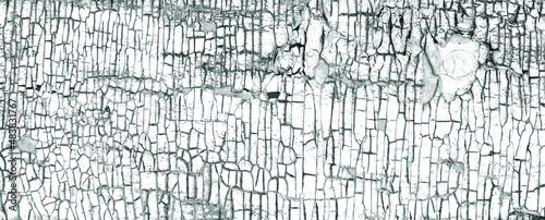 Vector black and white grunge pattern made from natural oil paint crackle. Cool texture of cracks, stains, scratches, splashes for print and design. Crackle paint overlay. EPS10.