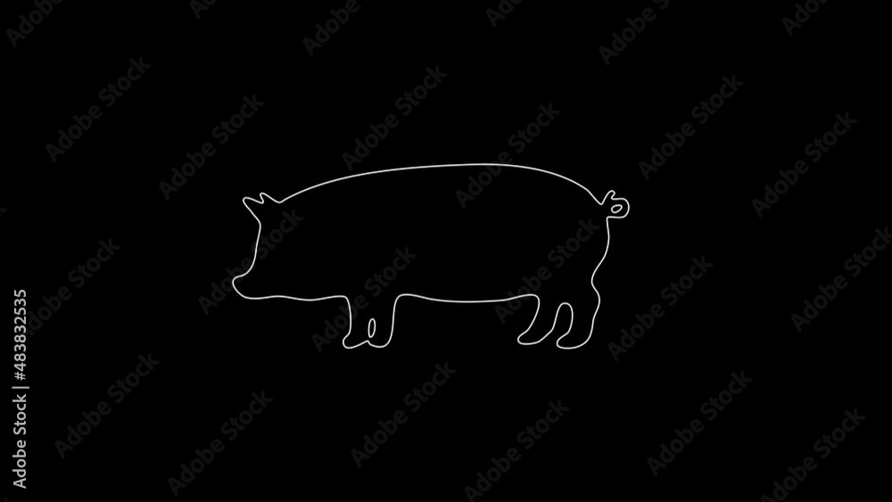 white linear pig silhouette. the picture appears and disappears on a black background. white linear pig silhouette. the picture appears and disappears on a black background.