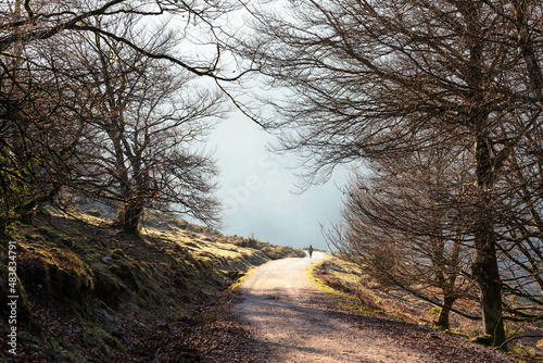 Woman walking down a track in Sorogain photo