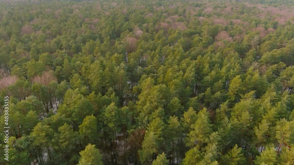 Winter forest texture. Aerial photography view. Drone view of winter landscape Winter forest texture. Aerial photography view. Drone view of winter landscape