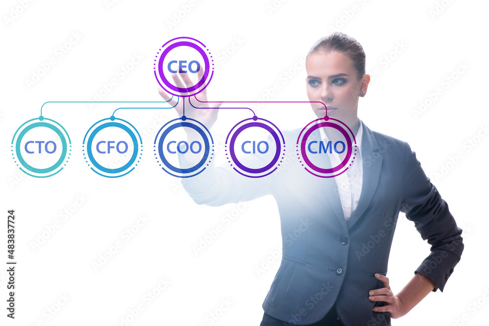 Businesswoman in the organisation chart concept Businesswoman in the organisation chart concept