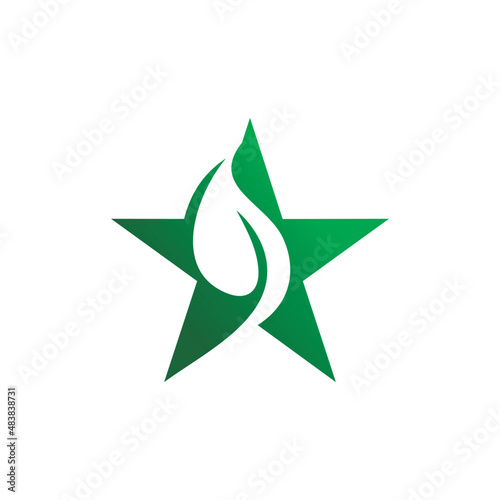 green star nature leaf logo design