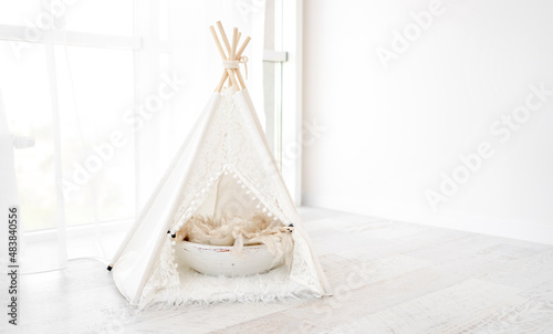 Hut decoration for pet photoshoot © tan4ikk