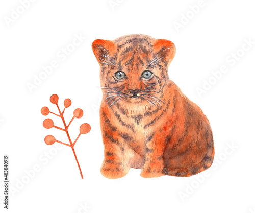 Tiger cub and autumn branches, isolated on a white background. Tiger painted in watercolor by hand. Watercolor set of illustrations.