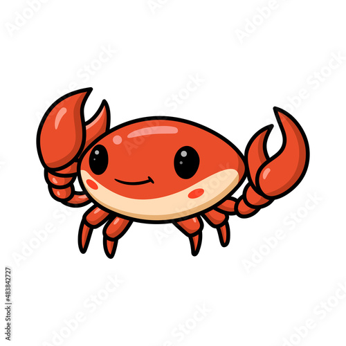 Cute little orange crab cartoon