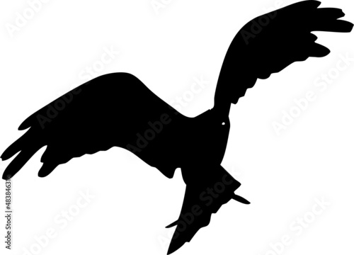 Rapace volant - vecteur noir avec fond transparent à personnaliser ou utiliser tel quel. 