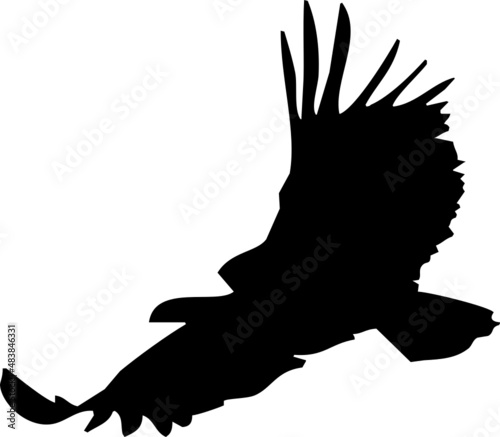 Vautour en vol, vecteur sur fond transparent