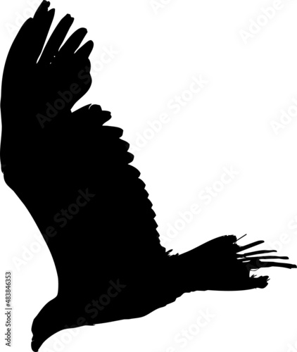Oiseau en vol, vecteur noir et fond transparent 