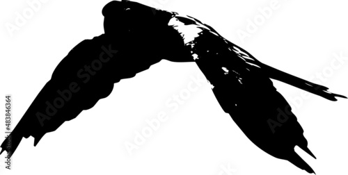 Rapace de type aigle, vautour, faucon volant dans le ciel- vecteur noir avec fond transparent à personnaliser ou utiliser tel quel. 