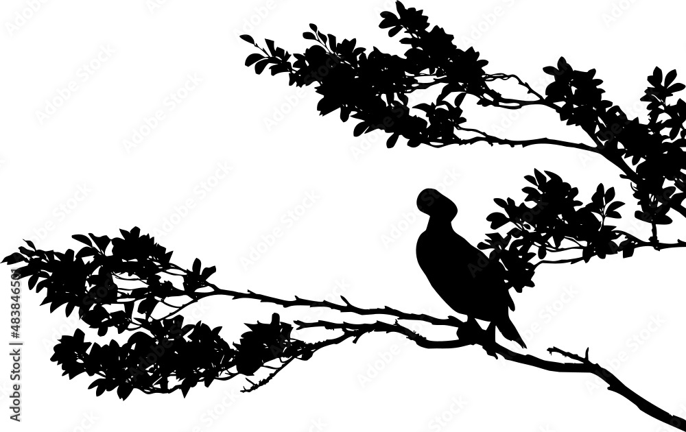Grand cormoran posé sur branches d'arbre et feuilles. Vecteur sur fond transparent Grand cormoran posé sur branches d'arbre et feuilles. Vecteur sur fond transparent