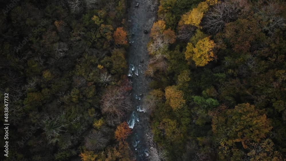 Aerial view of the autumn forest and small river Aerial view of the autumn forest and small river