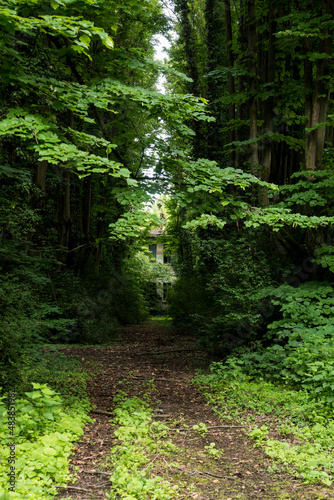 A picture of a psychiatric hospital