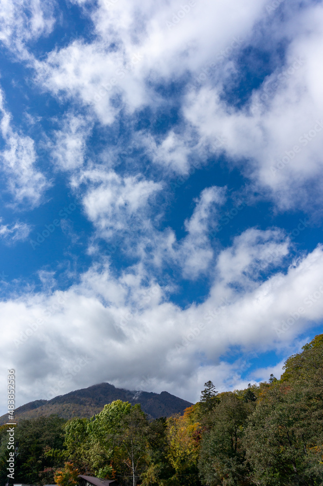 天気がいい湖のほとり(支笏湖) 天気がいい湖のほとり(支笏湖)
