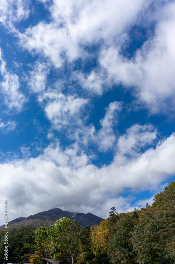 天気がいい湖のほとり（支笏湖）