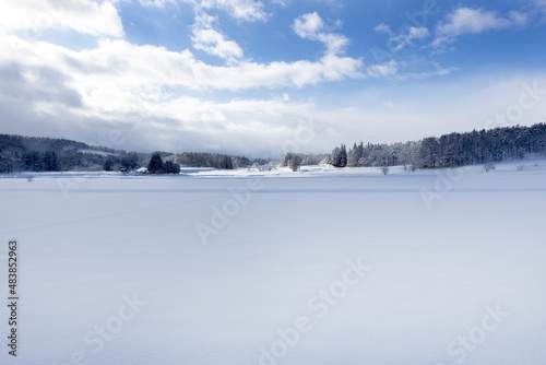 雪原の風景 © kelly marken