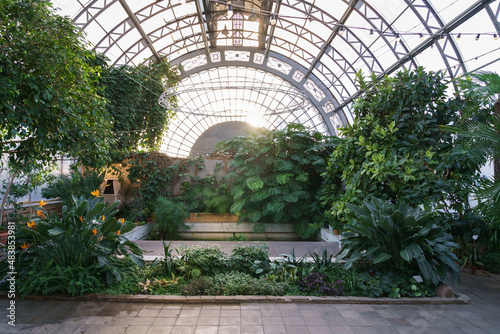 Winter garden orangery interior with evergreen tropical plants and monstera growing inside. Greenhouse with deciduous flora covered with green leaves under glass roof. Old glasshouse, botanical garden photo