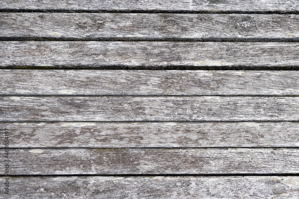 Fototapeta premium ウッドデッキ