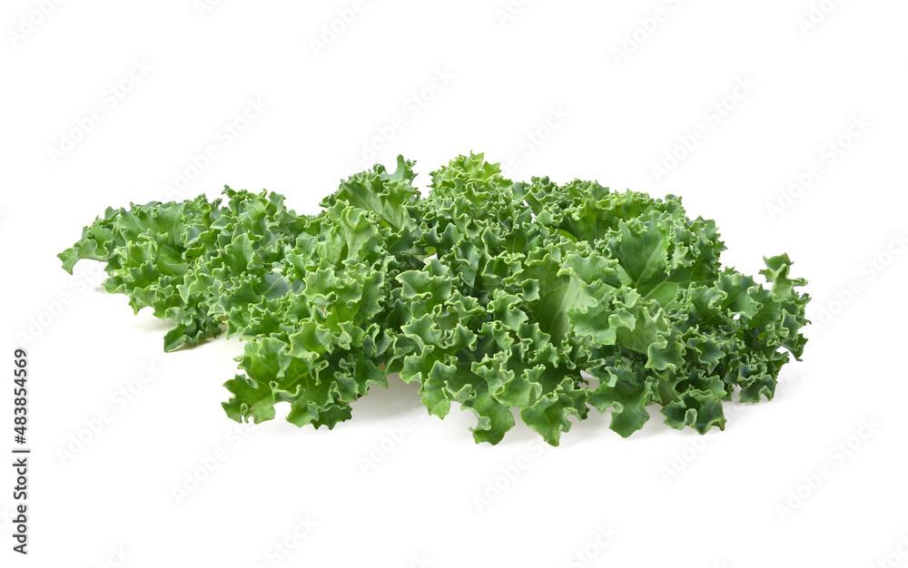 kale leaves on white background full depth of field kale leaves on white background full depth of field
