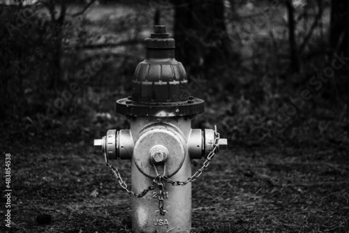 Black and white fire hydrant 